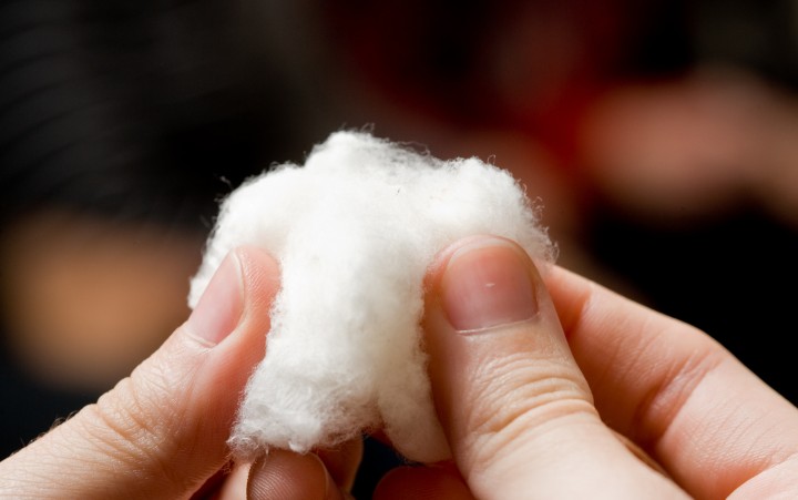 Hand holds raw cotton