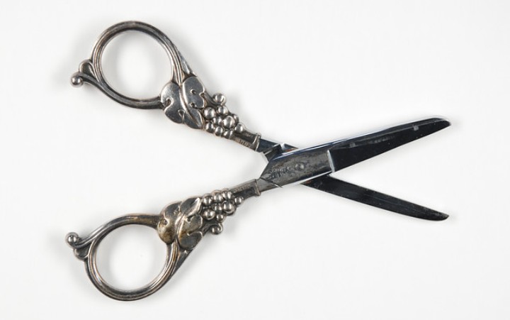 Shiny metal scissors decorated with vines.