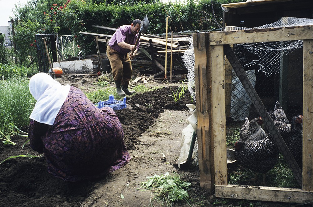 Blick in einen Kleingarten mit Hühnern in Gehege und einem Mann und einer Frau, die Gartenarbeit leisten