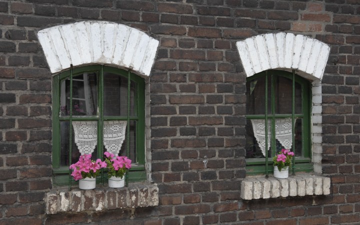 Historische Fensterfassade mit Blumen