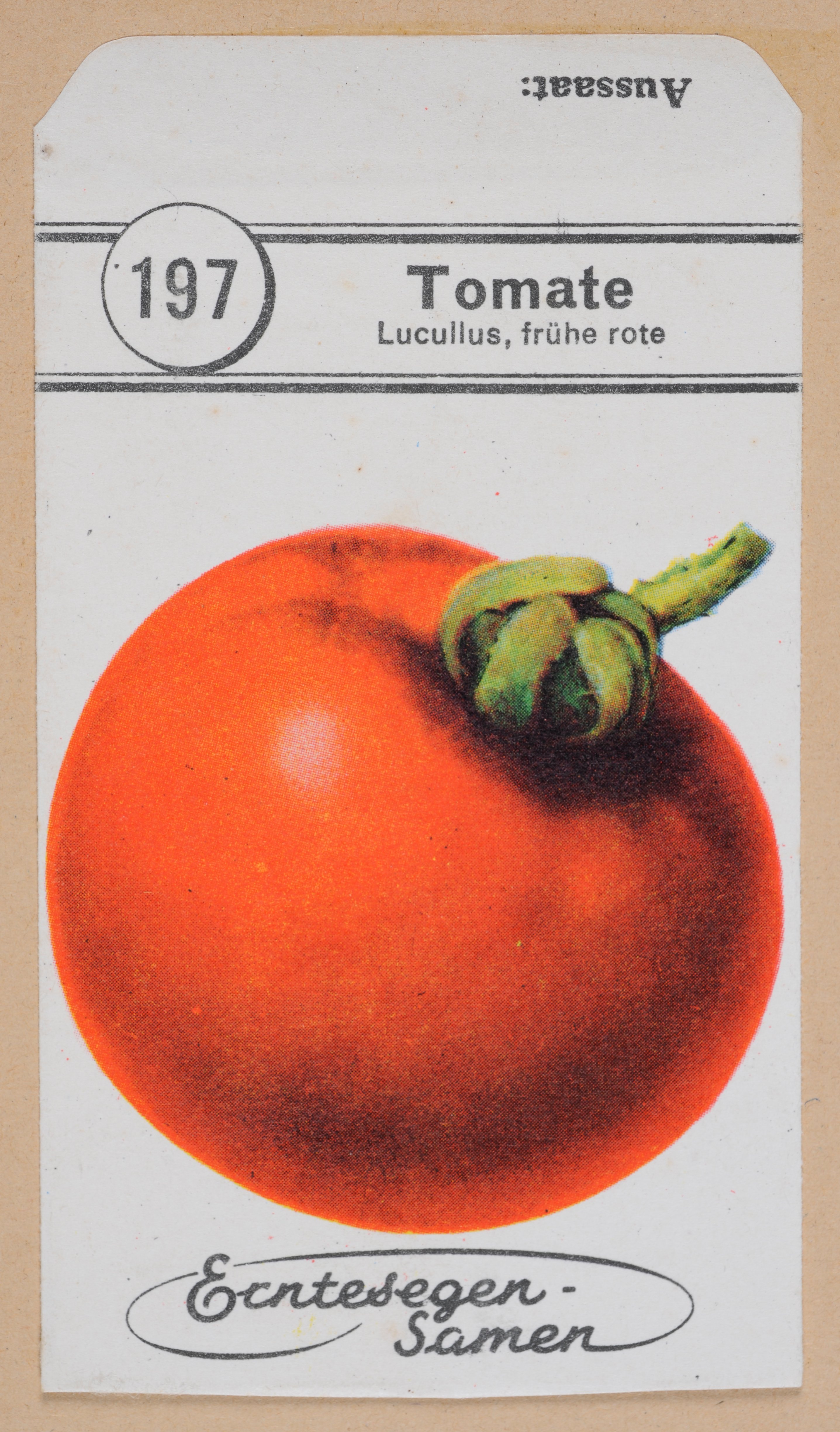 Historische Samentüte mit einer Tomate