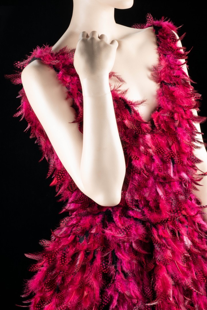 Detailansicht von einem roten Federkleid