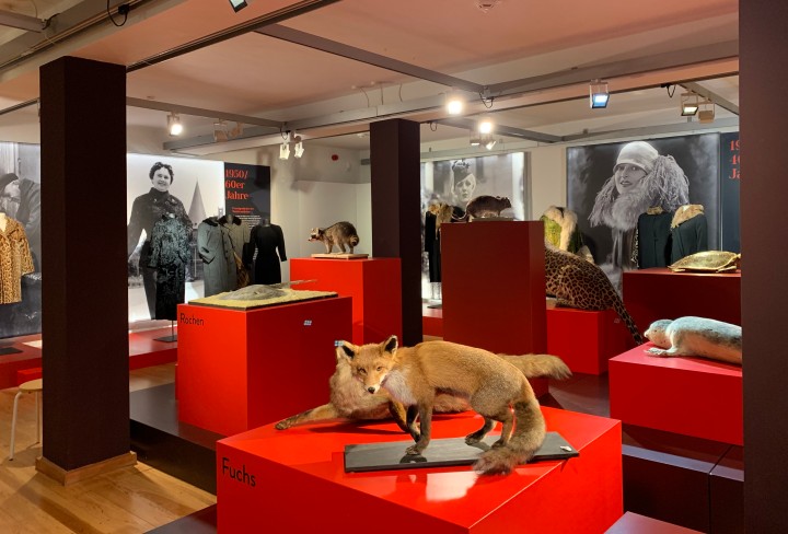 Podest in der Ausstellung mit einem Fuchs