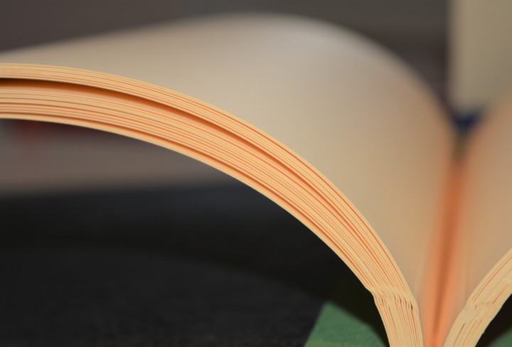 Zu sehen ist ein Buch, das aufgeklappt ist und leere Seiten hat.