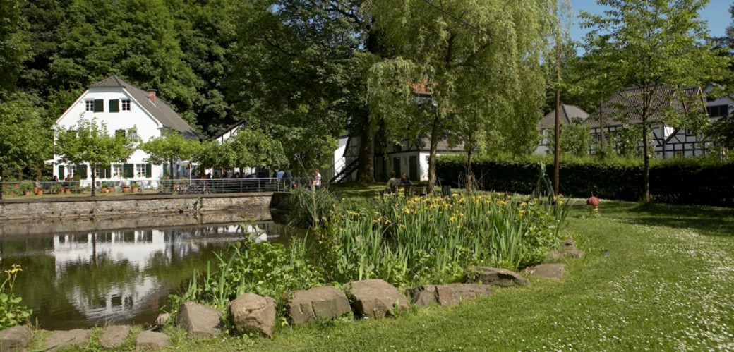 Grüne Landschaft mit Teich und Fachwerkgebäude