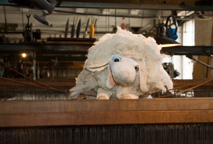 Die Handpuppe Wolli, die aussieht wie ein Schaf, liegt auf einer Maschine.
