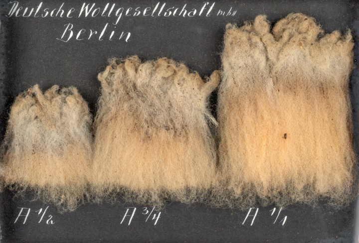 Bild von drei verschiedenen Wollarten.