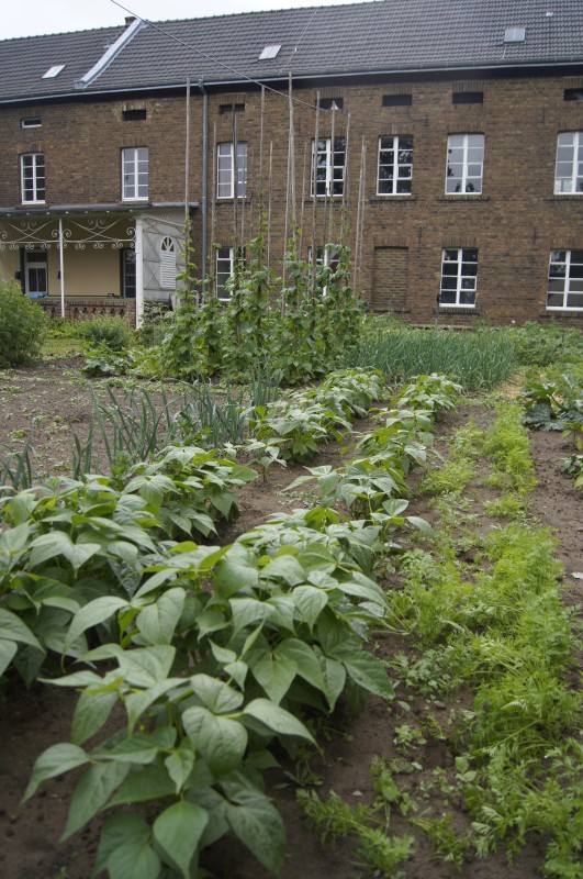 Gemüsegarten neben dem Fabrikgebäude