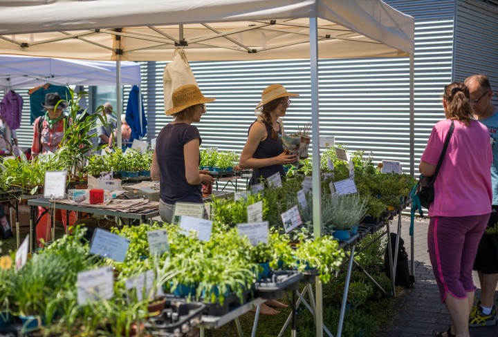 Marktstand mit verschiedenen Kräutern und Pflanzen, zwei Frauen mit Strohhüten bedienen Kunden unter einem Sonnenschutz.