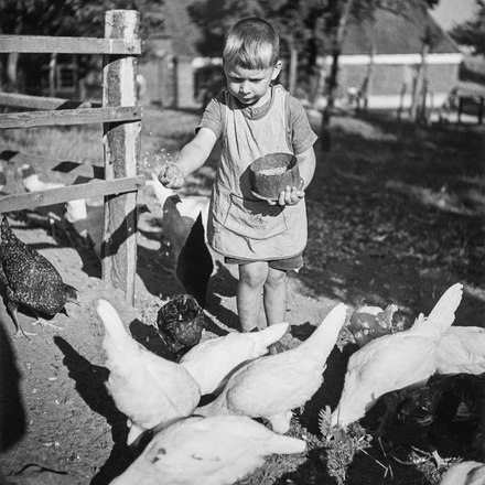 Kind steht im Freien und füttert Hühner mit einer Schale in der Hand.