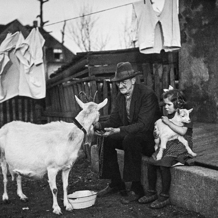 Mann mit Hut füttert Ziege, Mädchen hält Zicklein auf dem Schoß, weitere Person steht auf der Treppe, im Hintergrund Holzzaun und Wäscheleine.