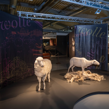Zwei lebensechte Schafmodelle in einer Ausstellung mit Fellen auf dem Boden und dunklen Wänden mit Schriftzug 'Wolle'.