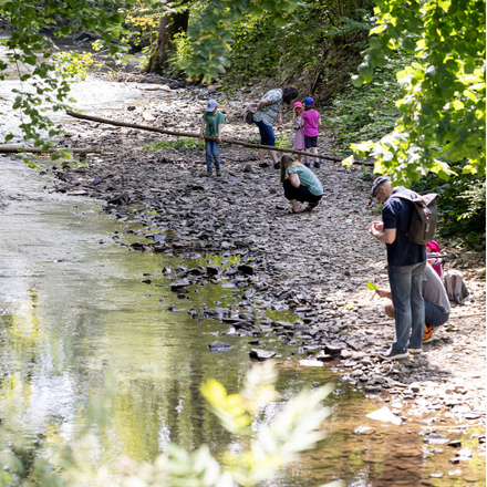 Mehrere Personen stehen und hocken am Ufer eines flachen, steinigen Bachs in einem bewaldeten Gebiet.