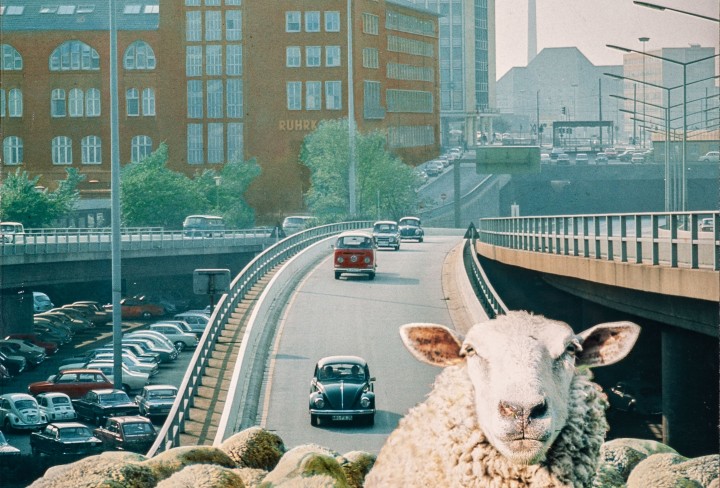 Fotocollage für eine Werbekampagne; im Vordergrund grasen Schafe auf einem Wiesenstück, im Hintergrund erhebt sich eine urbane Stadt mit einer Schnellstraße.