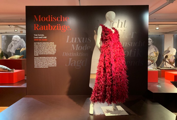Blick in die Ausstellung: Schaufensterpuppe mit rotem Federkleid vor dem Ausstellungsplakat "Modische Raubzüge". 
