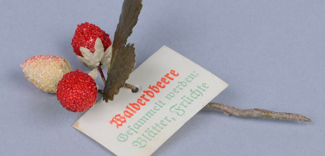 Anstecker, bestehend aus drei roten Erdbeerfrüchten sowie einem angehefteter Zettel mit einer Sammelanleitung