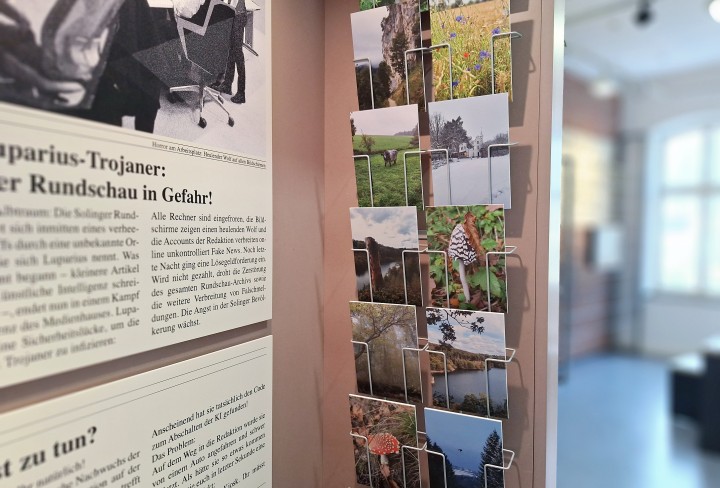 Nahansicht einer Ausstellungswand mit Bildern und Zeitungsartikeln