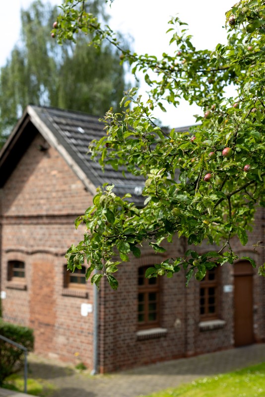 ein Backsteinhaus im Grünen