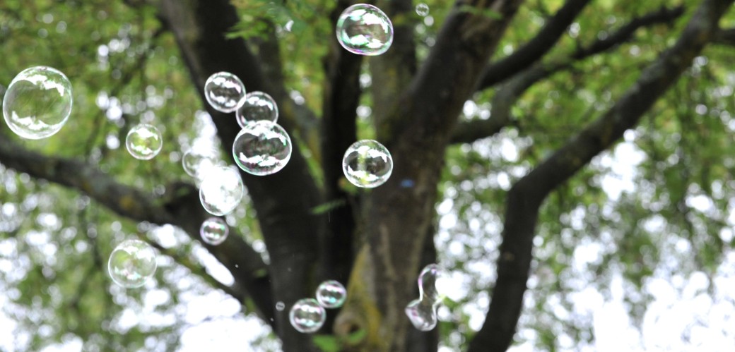Detailaufnahme von Seifenblasen vor einem Baum