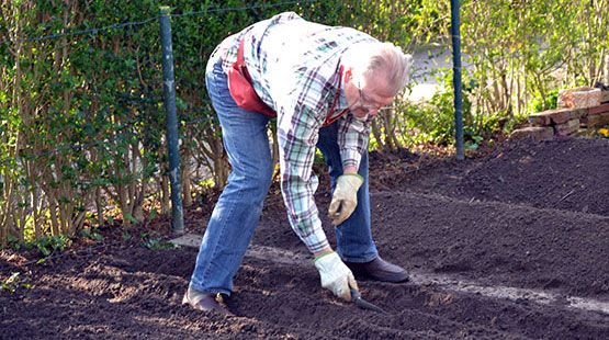 Ein Mann geht der Gartenarbeit nach und legt Beete an.