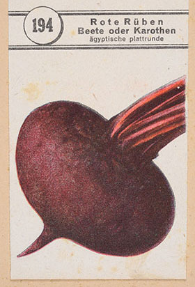 Eine Samentüte bildet eine Rote Beete ab. Die Aufschrift sagt "Rote Rüben Beete oder Karothen".