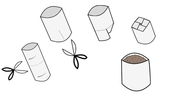 Eine schrittweise Anleitung in 5 Grafiken. Eine Toilettenpapierrolle wird zugeschnitten, umgeknickt und mit Erde gefüllt